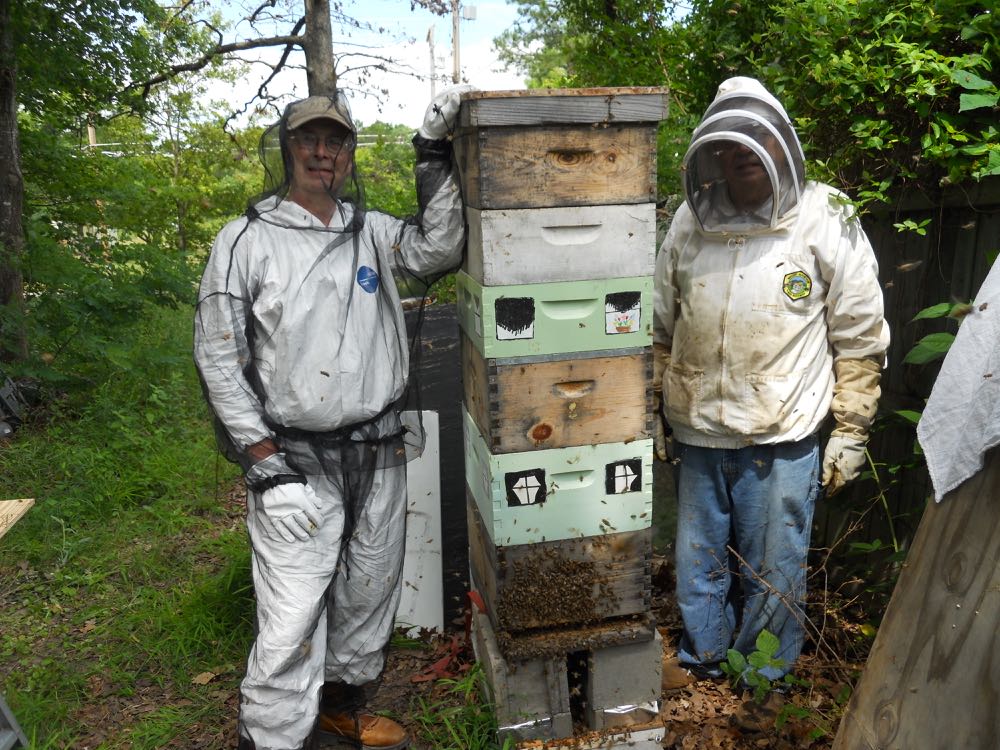 Kelly S. Bracken, left, and David Draker, right, after the colony is back in their expanded hive.