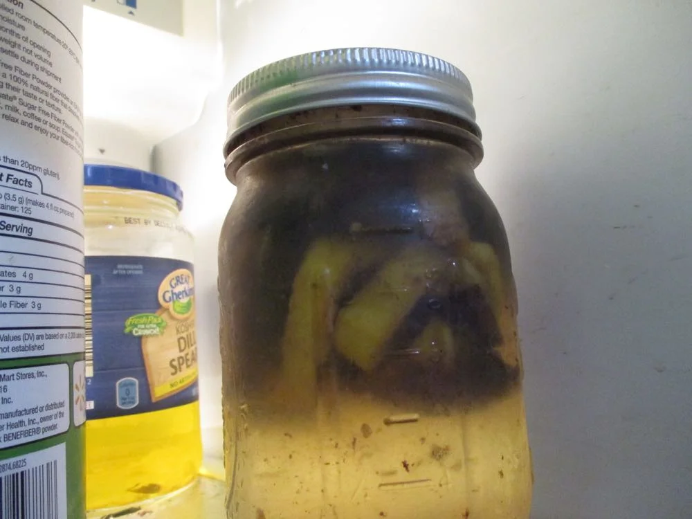 This is a jar of small hive beetle lure in my refrigerator for identification training purposes.