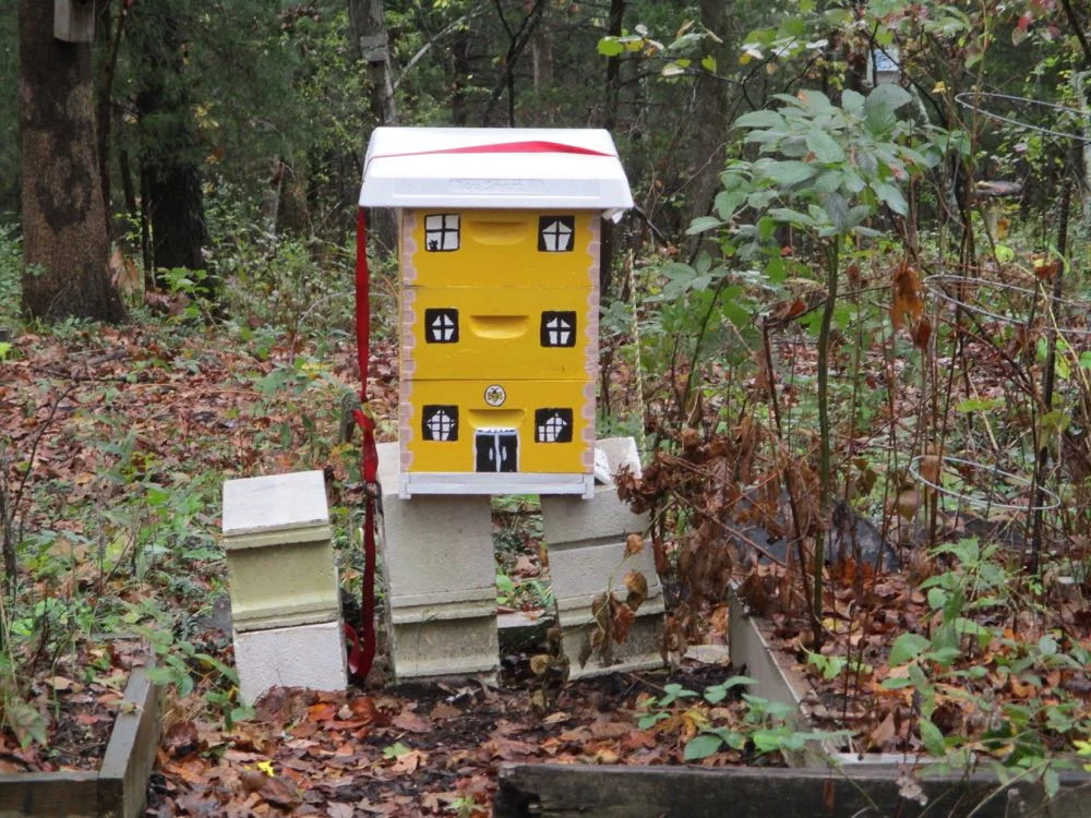 One of my hives, this one at the end of the vegetable garden before I fixed the concrete blocks.