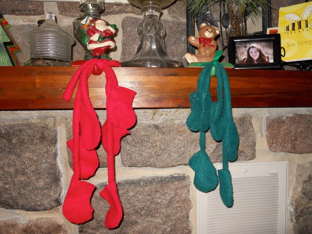 Honeybee stockings that hung on the first two hives I had when I first started beekeeping.