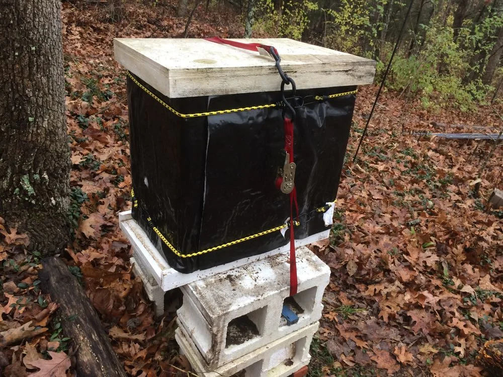 This colony is tucked in and ready for winter weather, including emergency food at the top.
