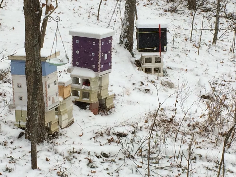 Last year, snow arrived before I had all of my hives wrapped, I beat the snow this year.