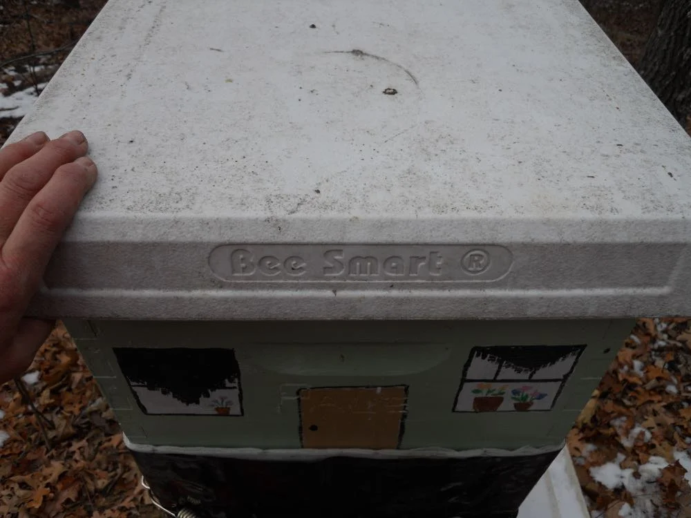Checking for a colony cluster can be as simple as lifting the hive top quickly and finding heat.