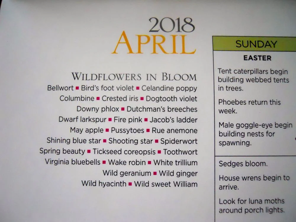 Missouri Department of Conservation's Natural Event calendar includes wildflowers in bloom.