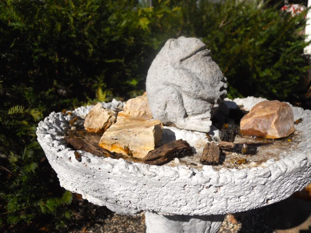This old bird bath has been repurposed into a bee bar in the front of my Missouri garden.