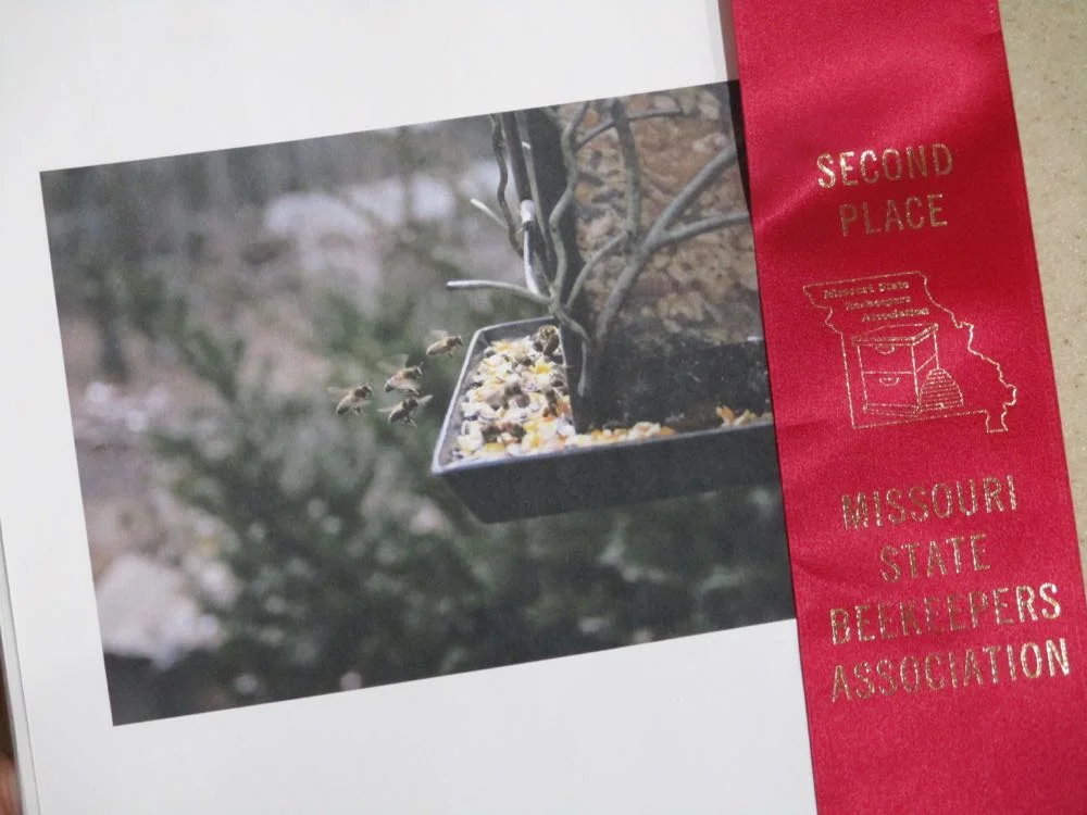 My photo of some honey bees flying into bird feeder won a second place ribbon at state contest.