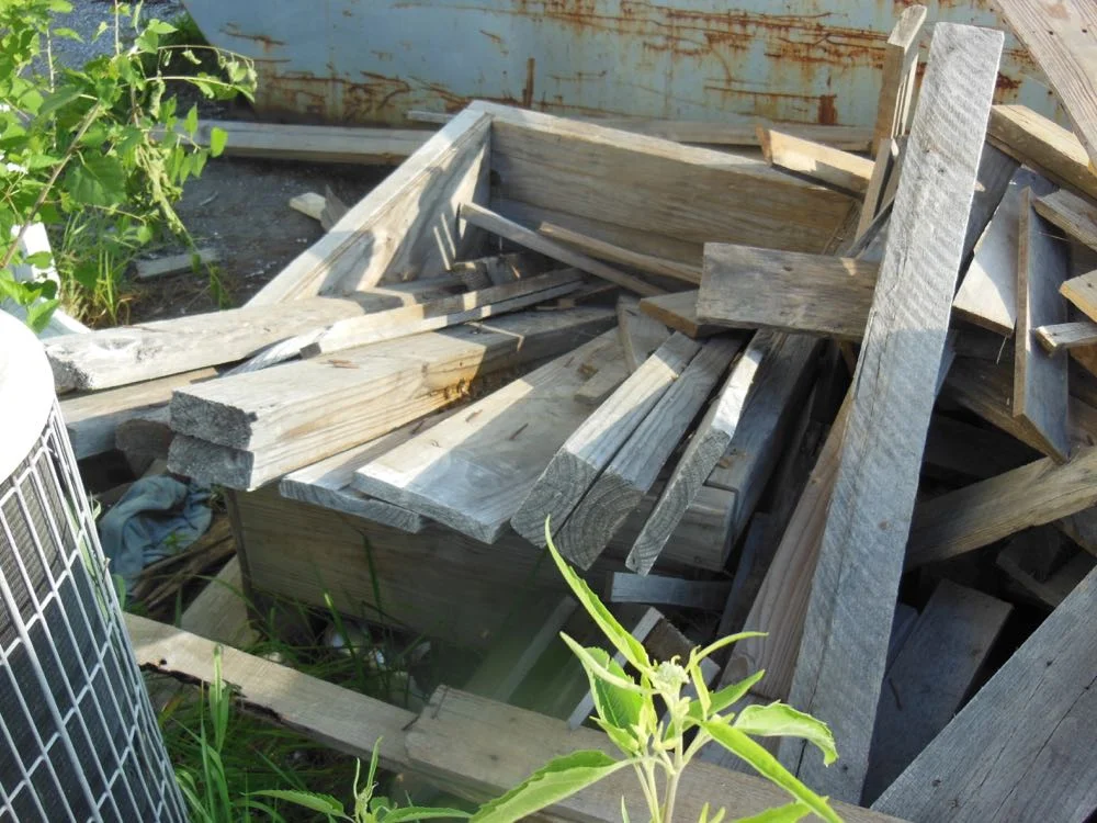 This is the wood pile where the caller said he had seen bees flying.