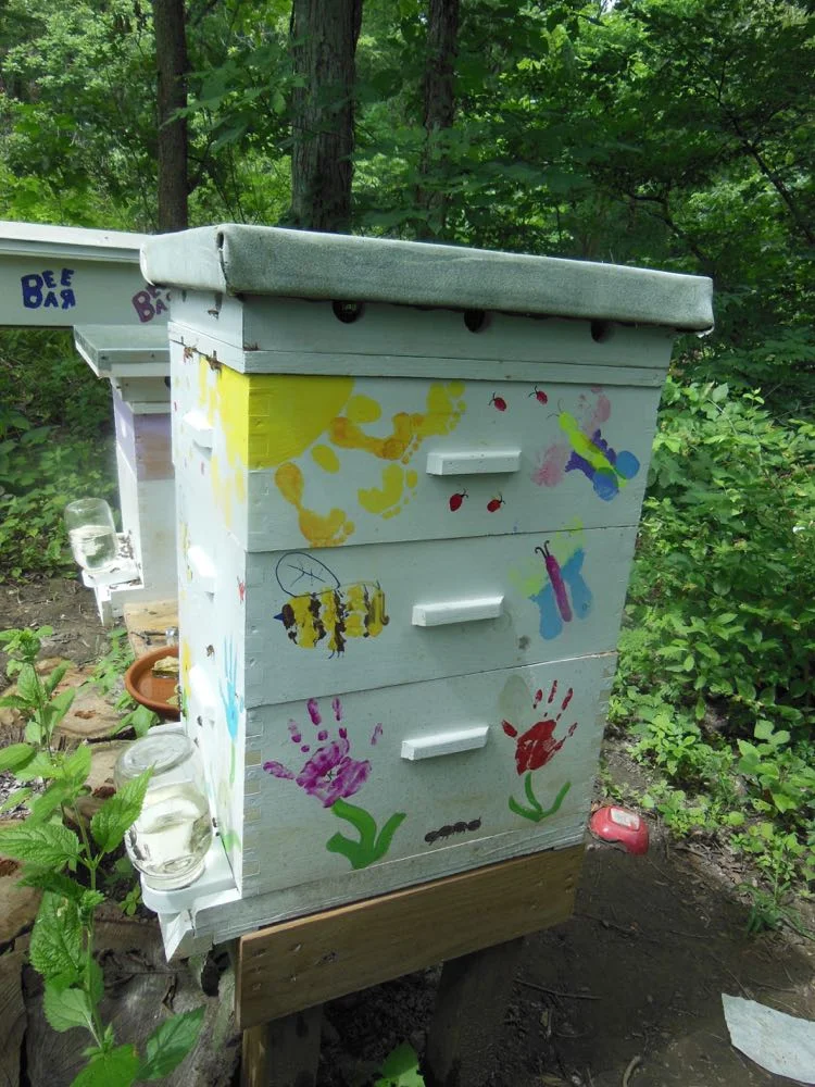 https://images.squarespace-cdn.com/content/v1/5623d1bee4b09501ec5d8c7b/1517545062507-V203ET4D4BP92U4A56HL/Hive%2Bdecor%2Bkids.jpg