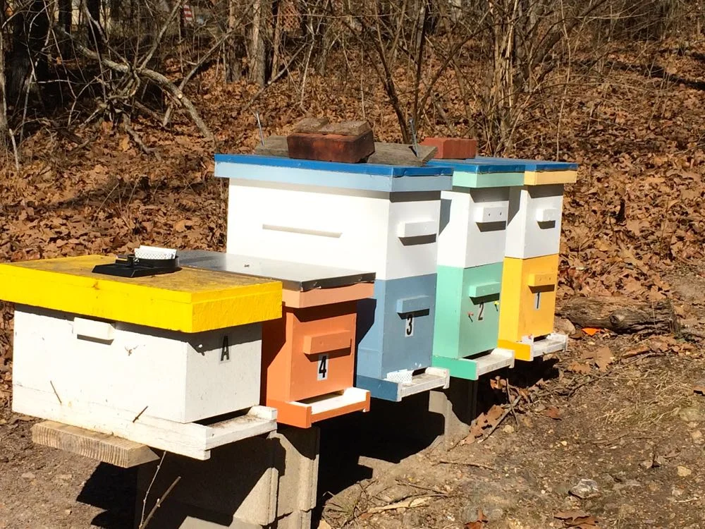 For his nucs, David has numbered and labelled each one as well as given them different colors.