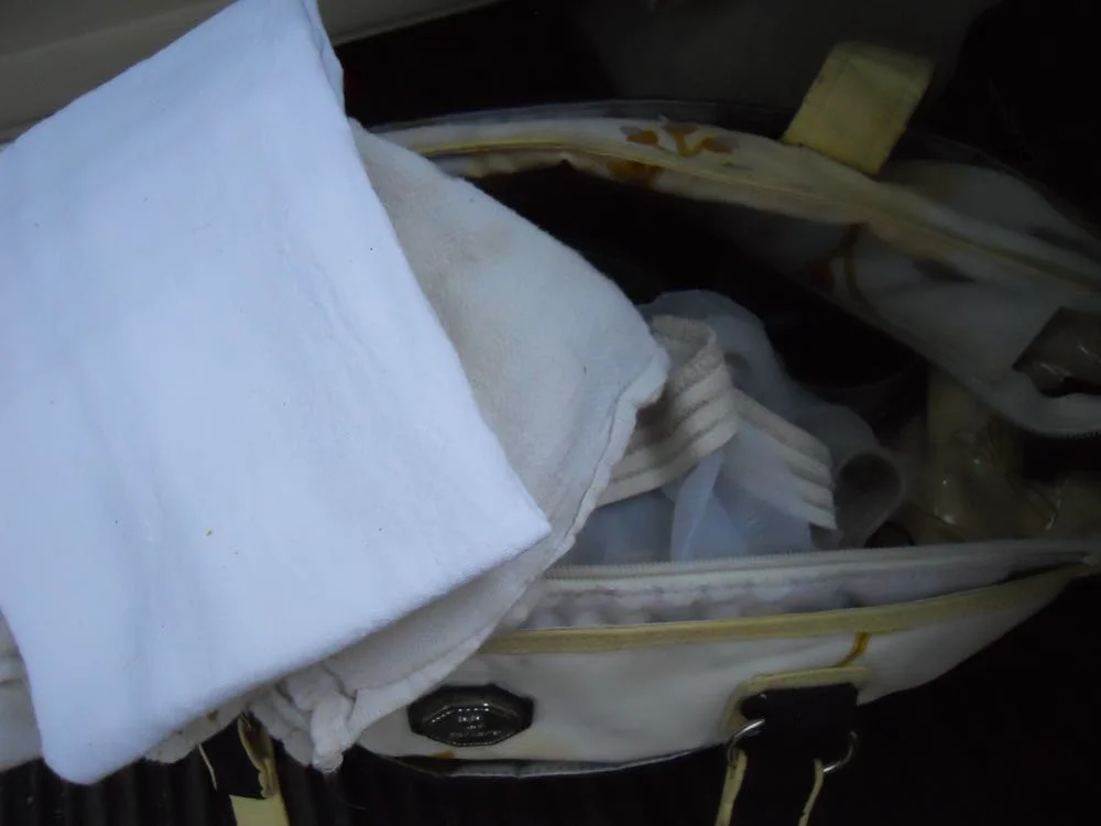 Muslin kitchen towels are very helpful in swarm-catching, they help show what bees are doing. (Photo by Charlotte Ekker Wiggins)