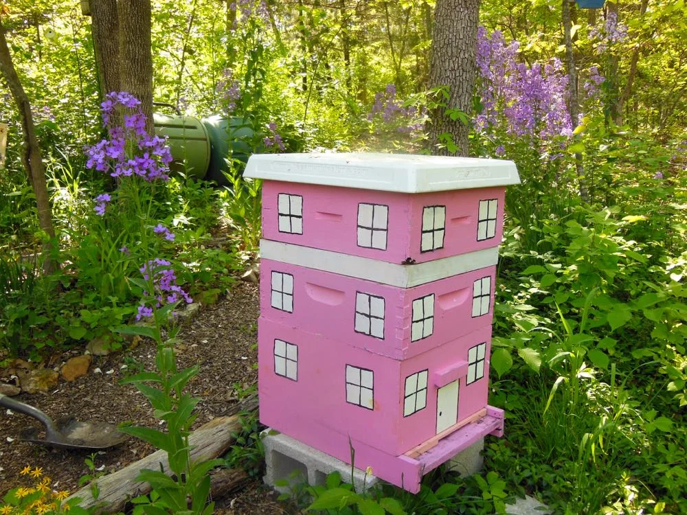 A small notched wood piece reduces a hive entrance. (Photo by Charlotte Ekker Wiggins)