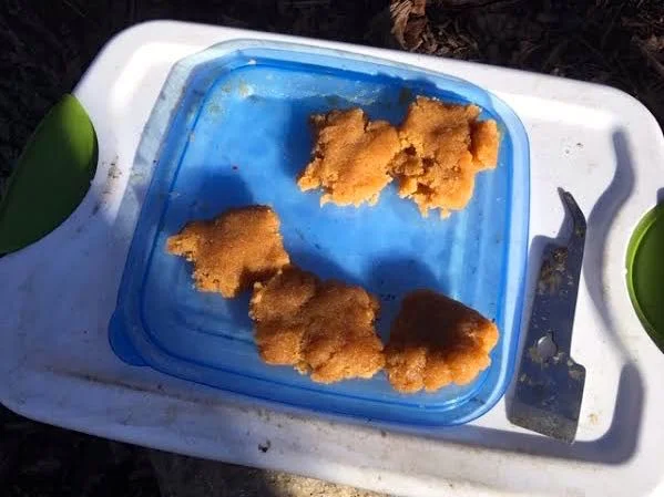 These are the size of the protein patties I shape for each colony. (Photo by Charlotte Ekker Wiggins)
