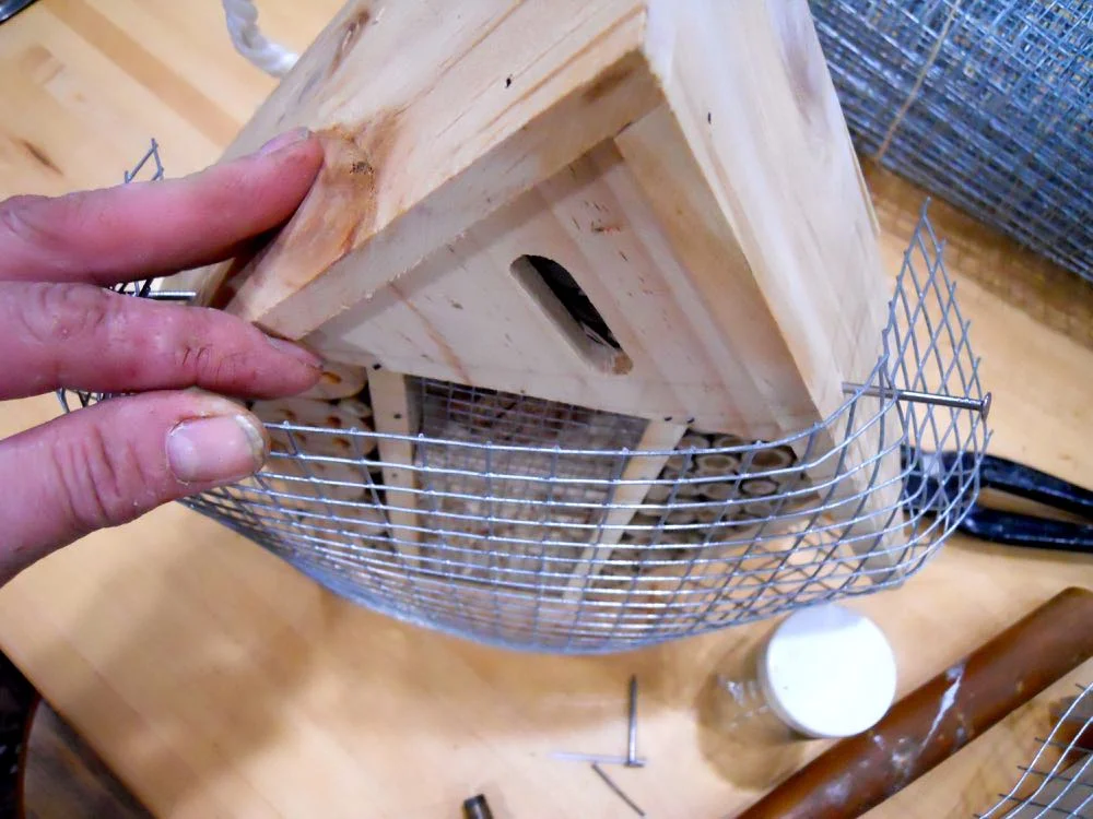 I fold, then nail one side of the wire, adjust the distance on the front, before finishing the other side. (Photo by Charlotte Ekker Wiggins)