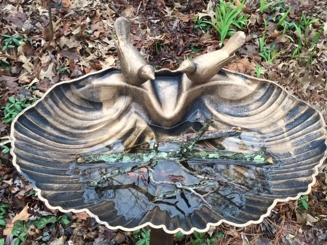One of my bee bars with sticks, rocks and leaves to provide water. (Photo by Charlotte Ekker Wiggins)