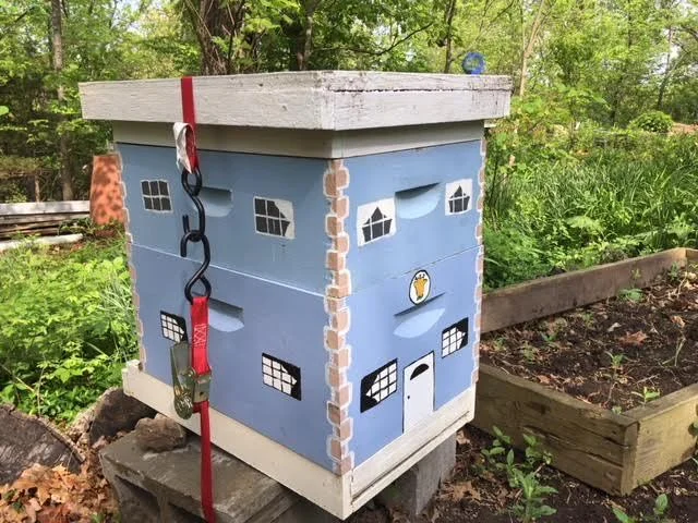 One of my honeybee hives building up the colony this spring. (Photo by Charlotte Ekker Wiggins)