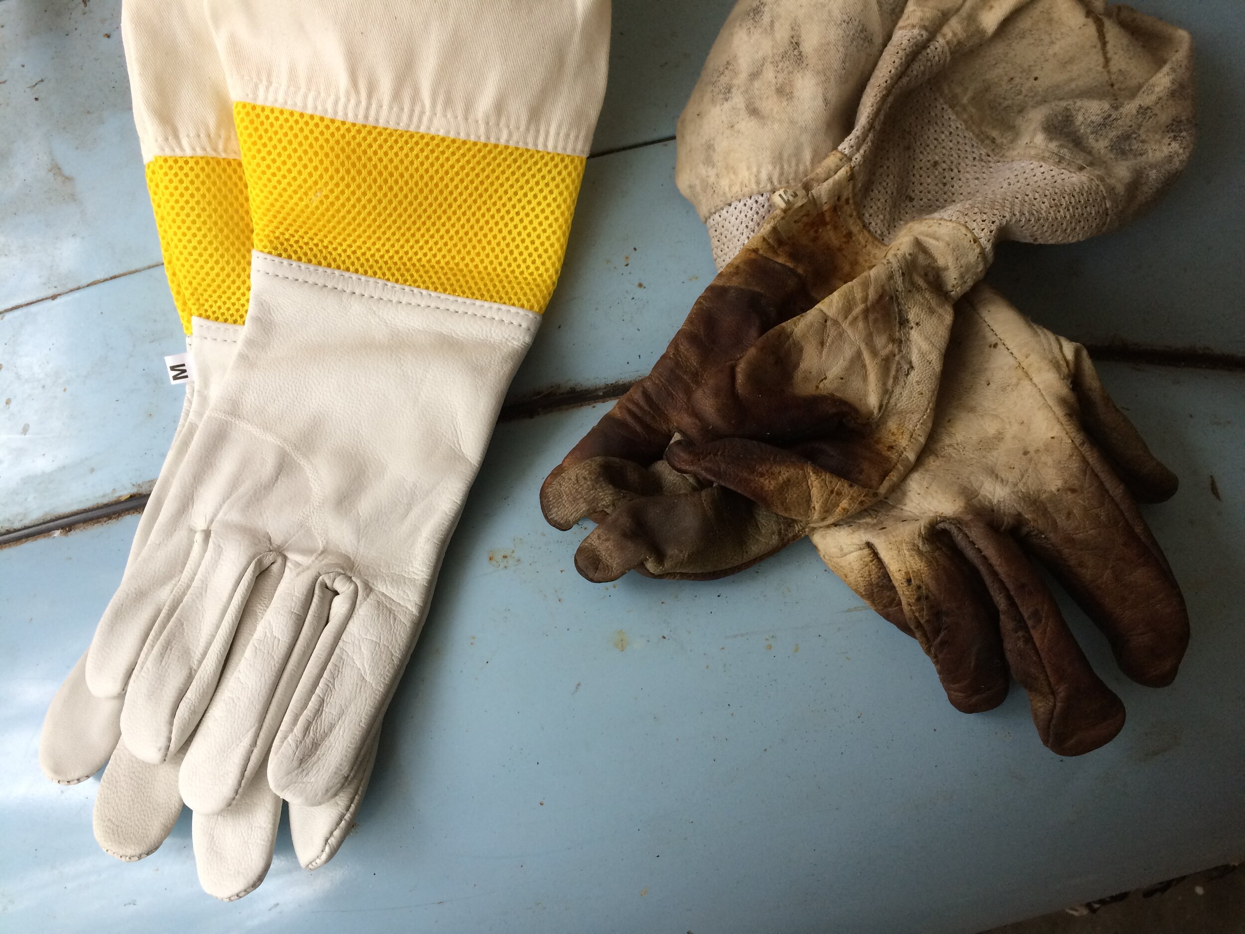 Beekeeping tips — Beekeeping How to — Home Sweet Bees