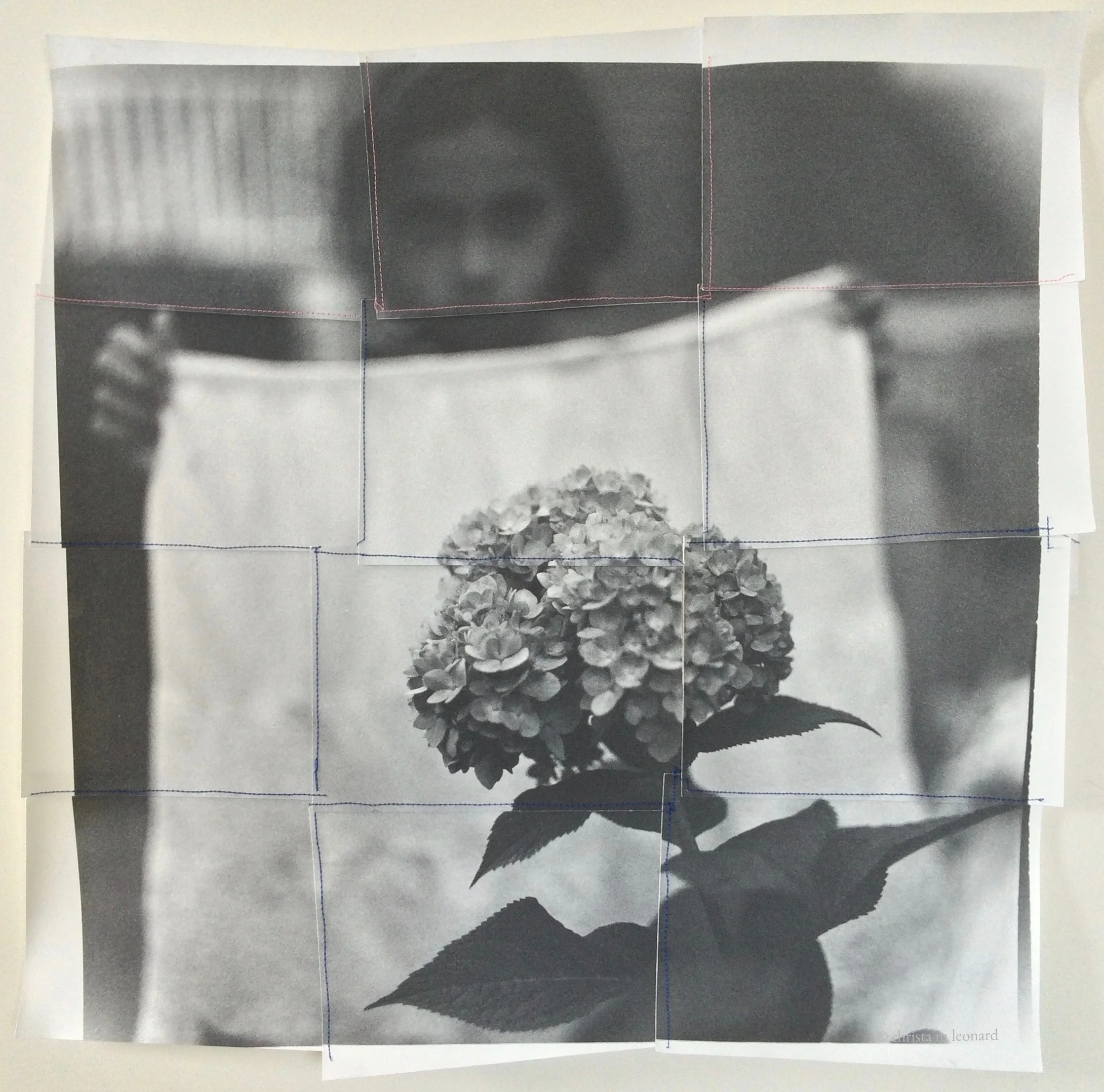 my daughter with hydrangea 2015