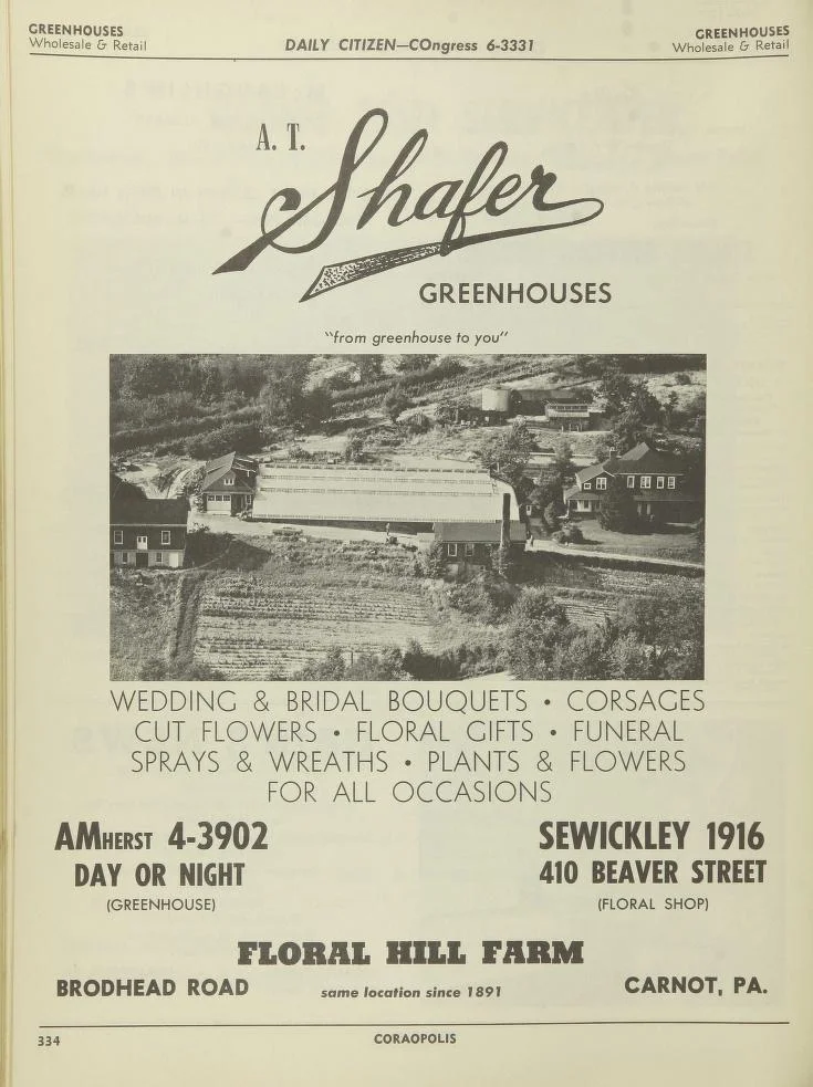 The Daily Citizen 1956 Trade Area Directory Pg 334.jpg