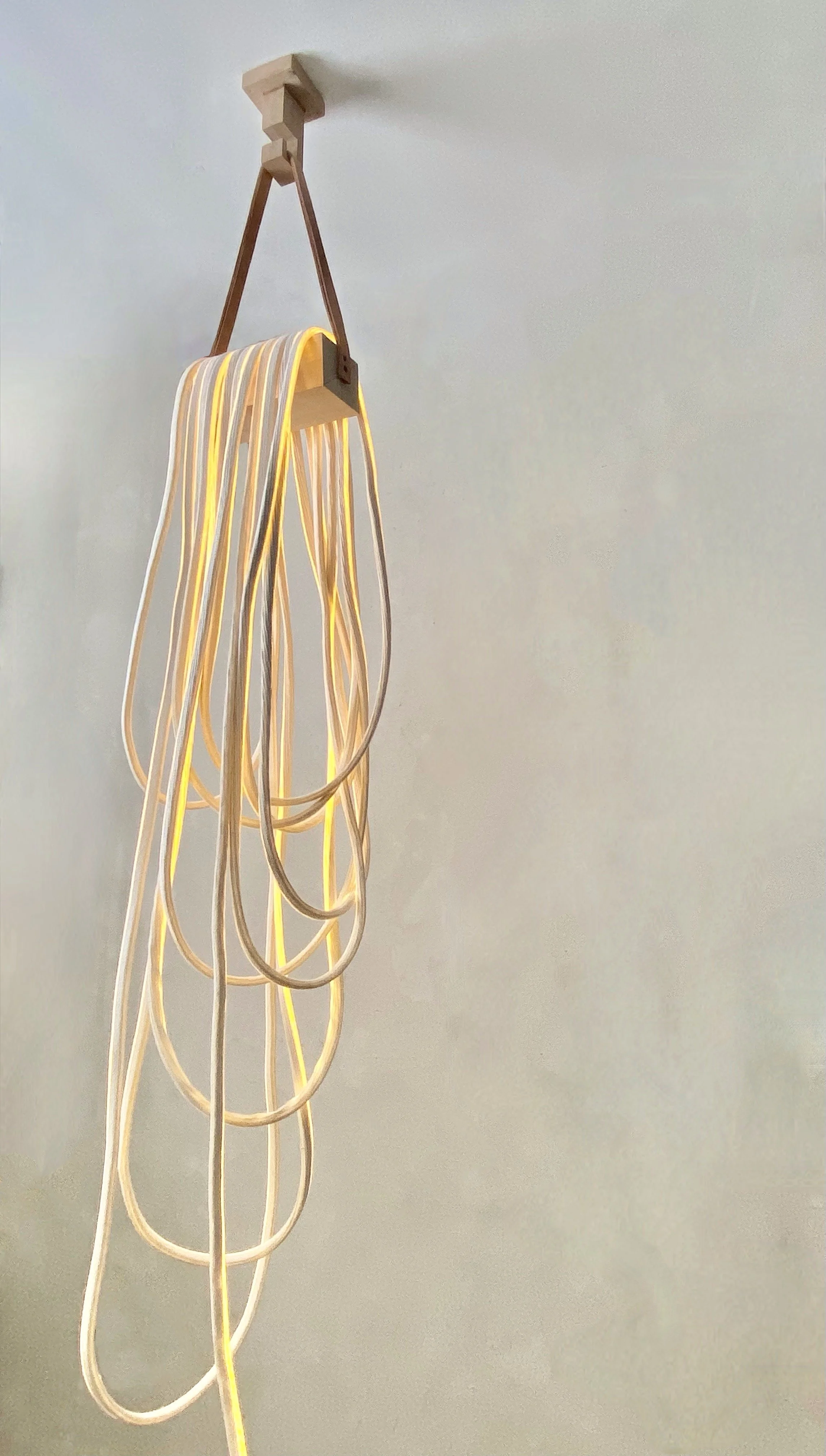 %22Cabuya%22 2023-2024 L84” X W10”x D12” .JPG