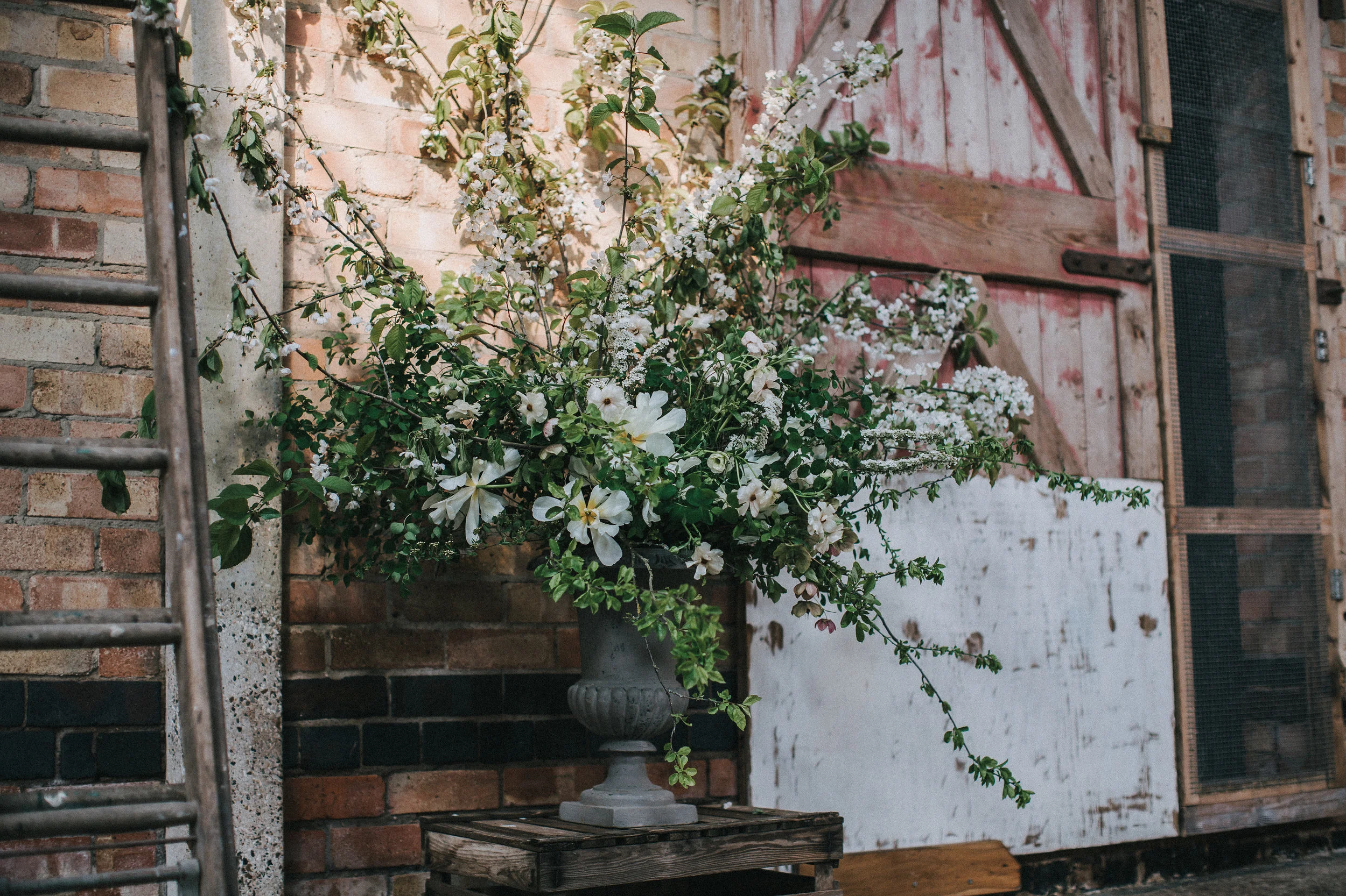 Matt Horan Photography