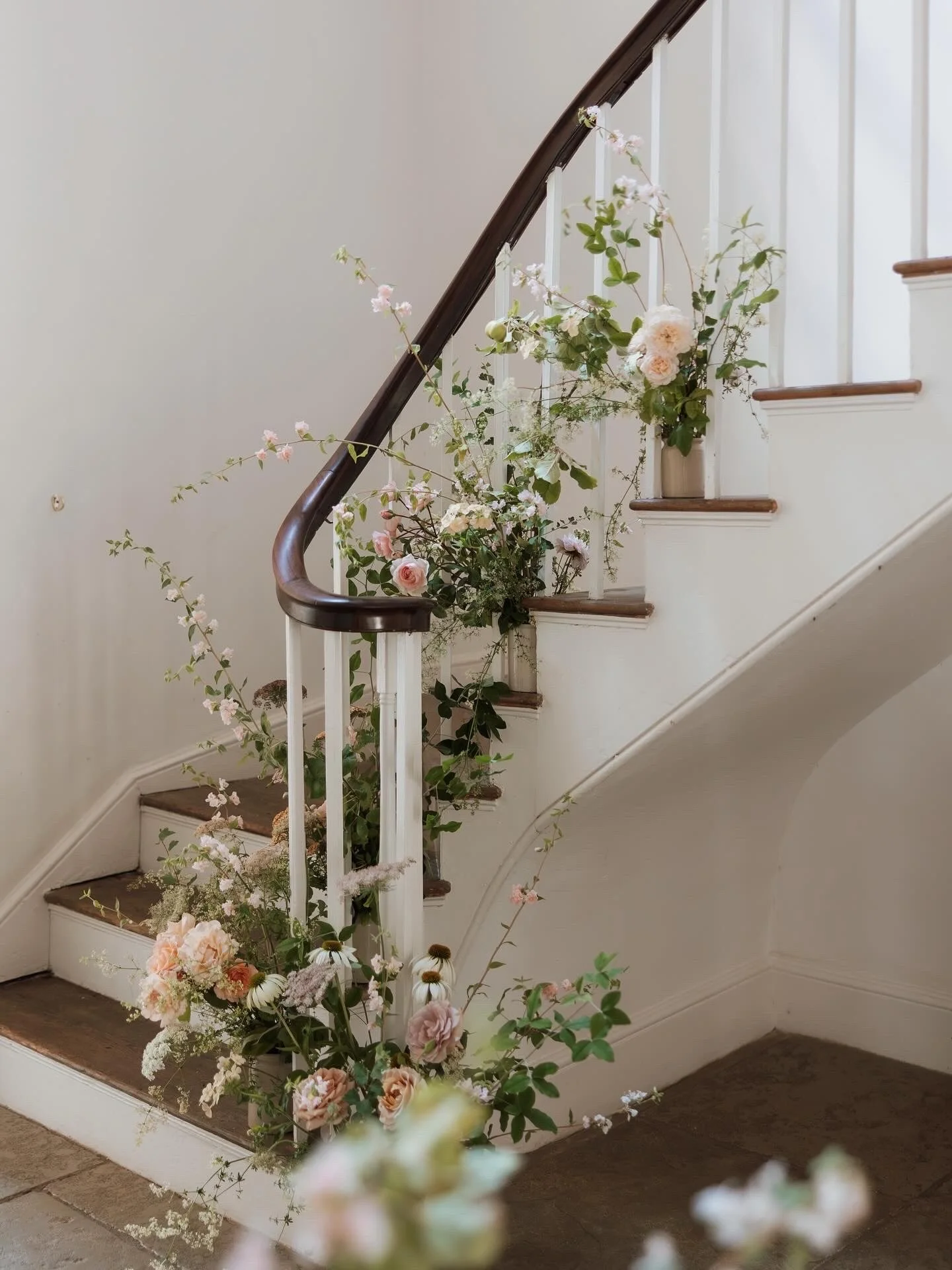 Molly Ann Photography