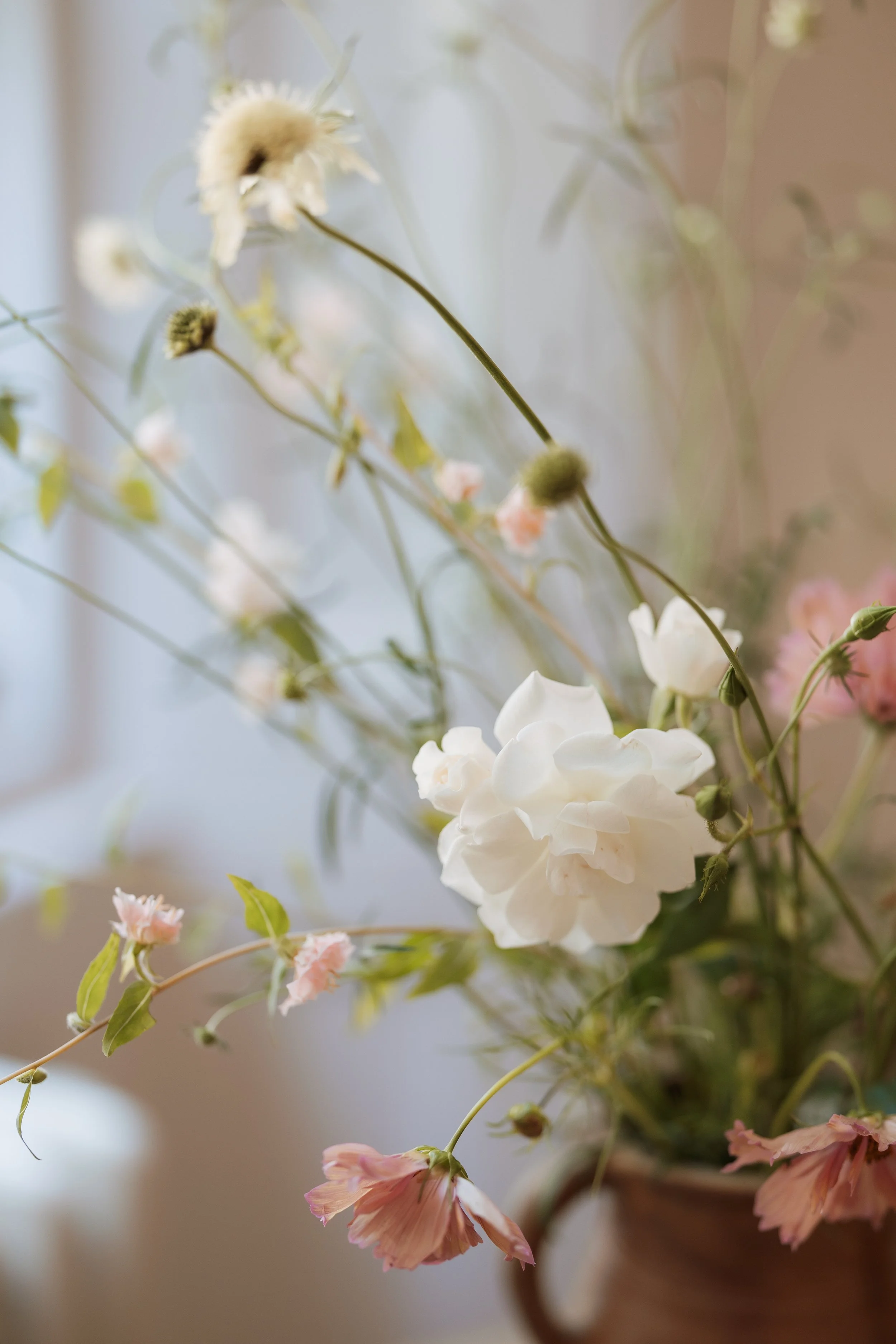 Molly Ann Photography