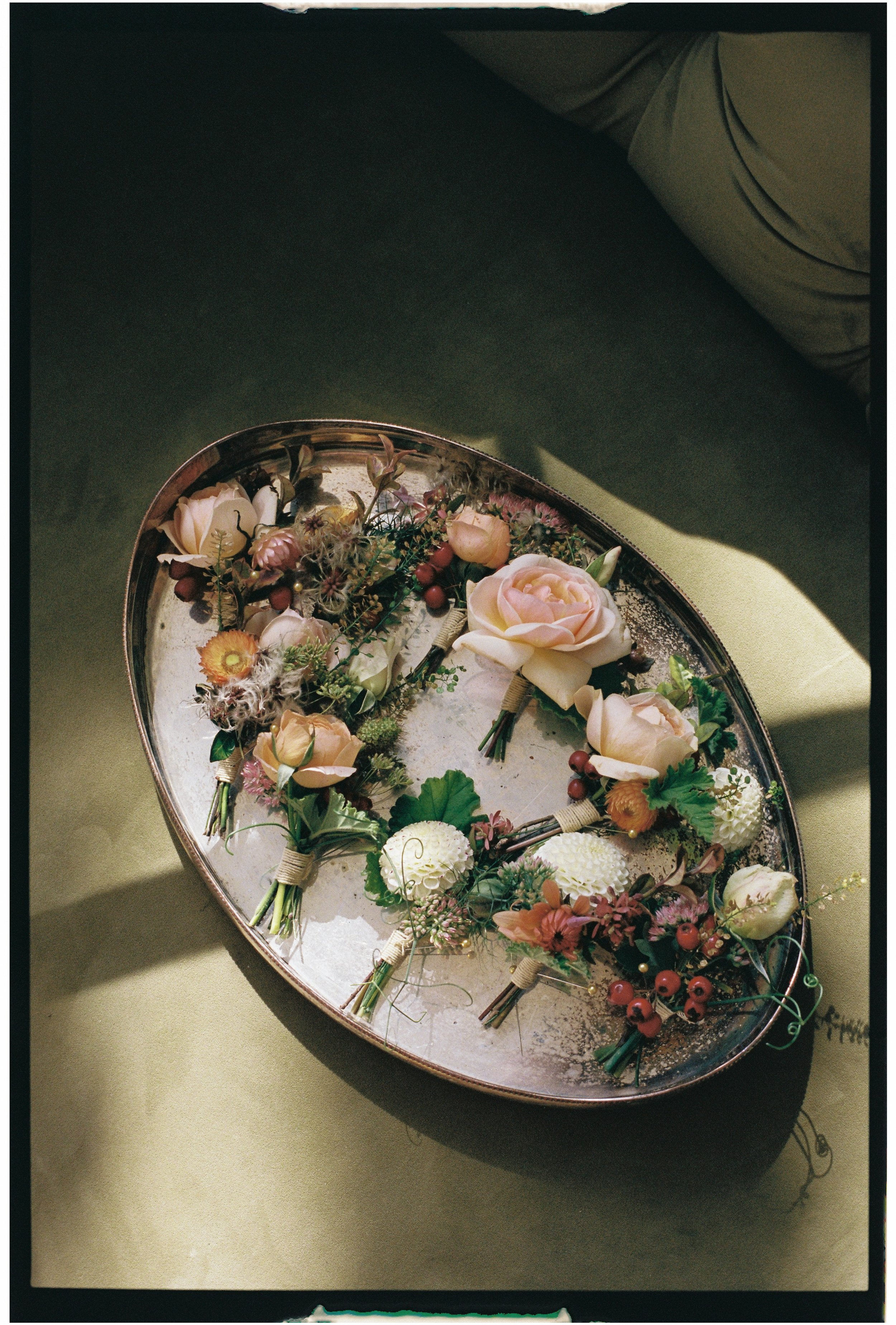 Daisy Price Photography