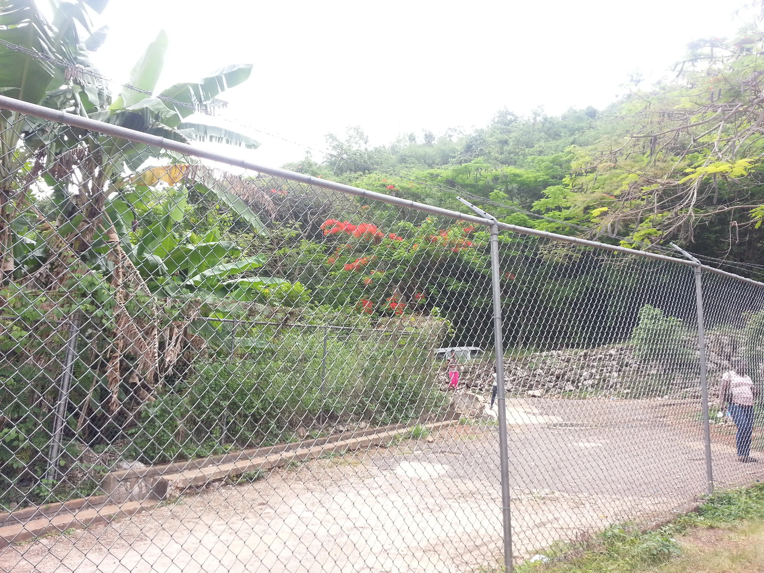 2013-06-22 12.34.26.jpg