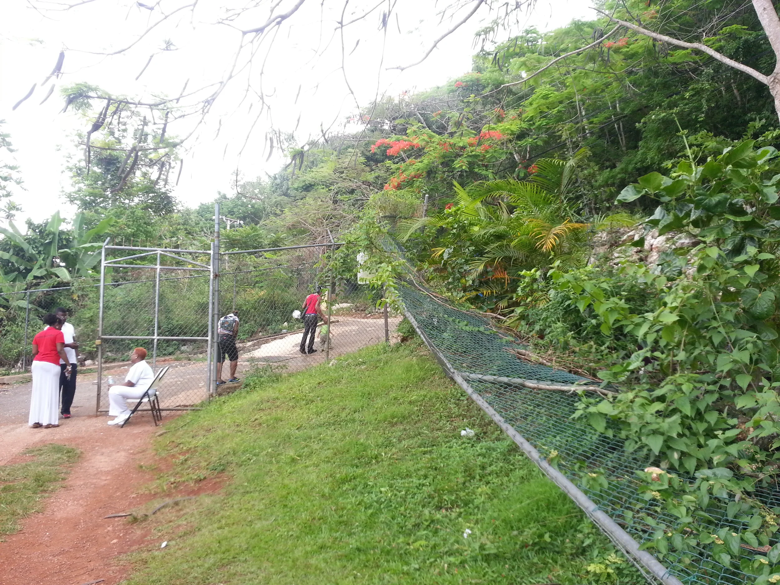 2013-06-22 14.51.27.jpg