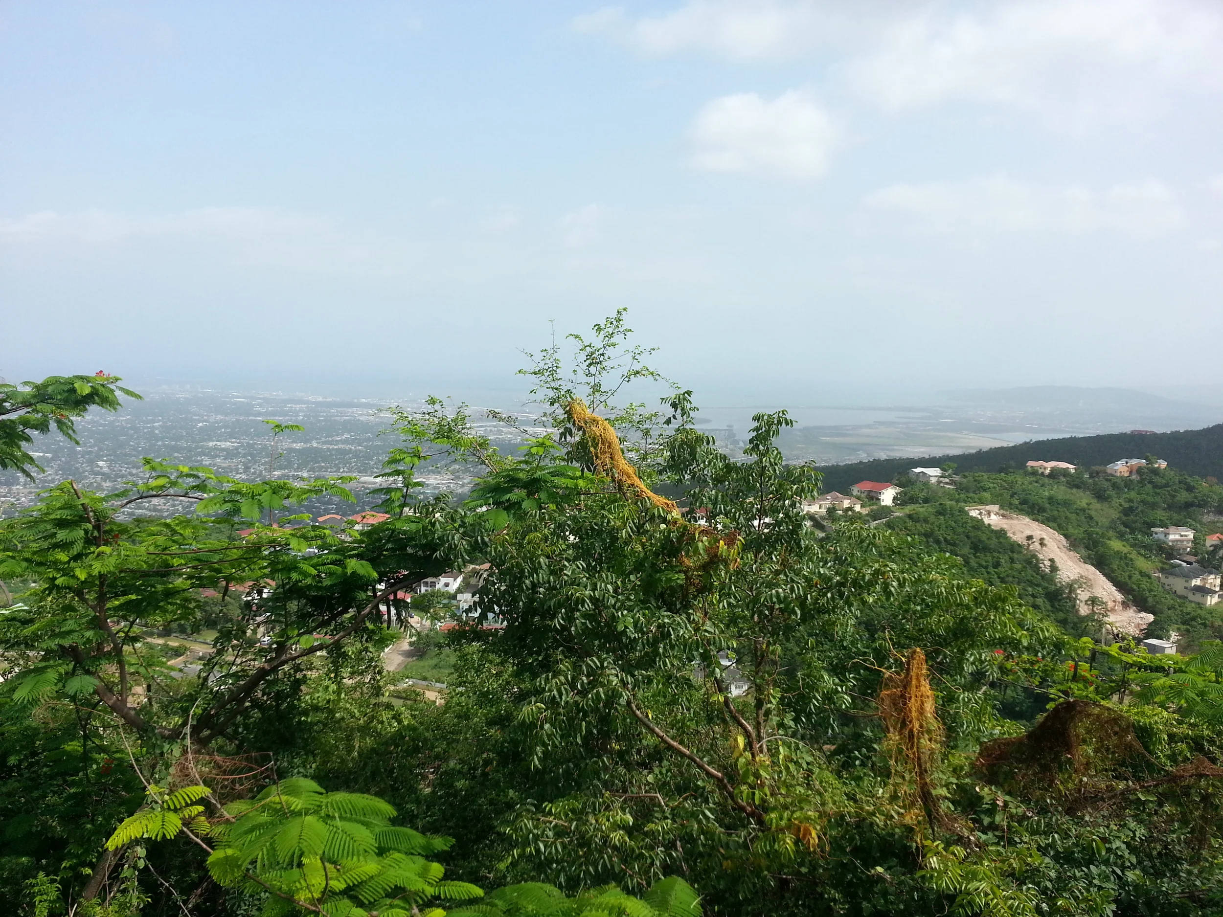 2013-06-22 15.15.42.jpg