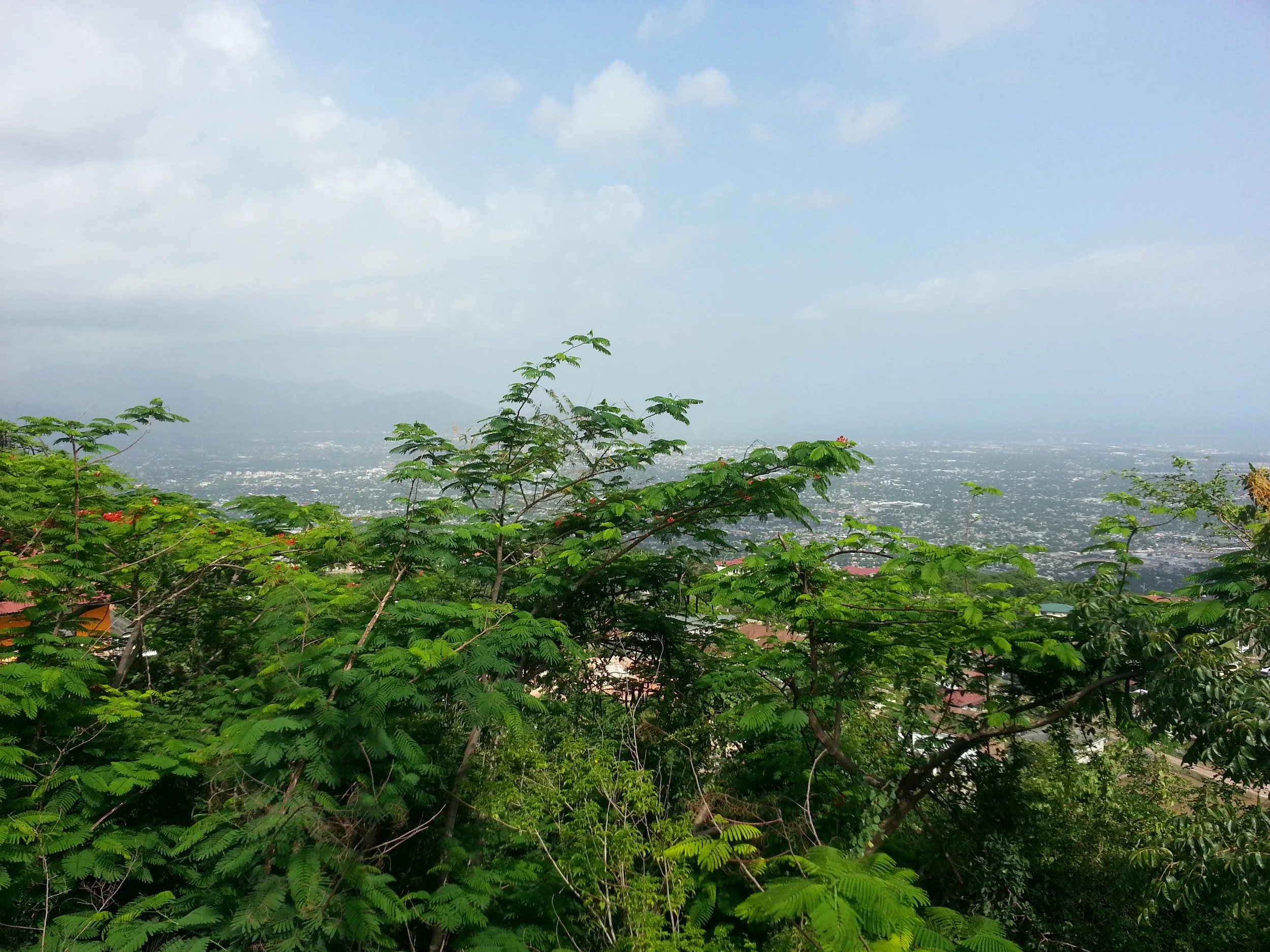 2013-06-22 15.15.52.jpg