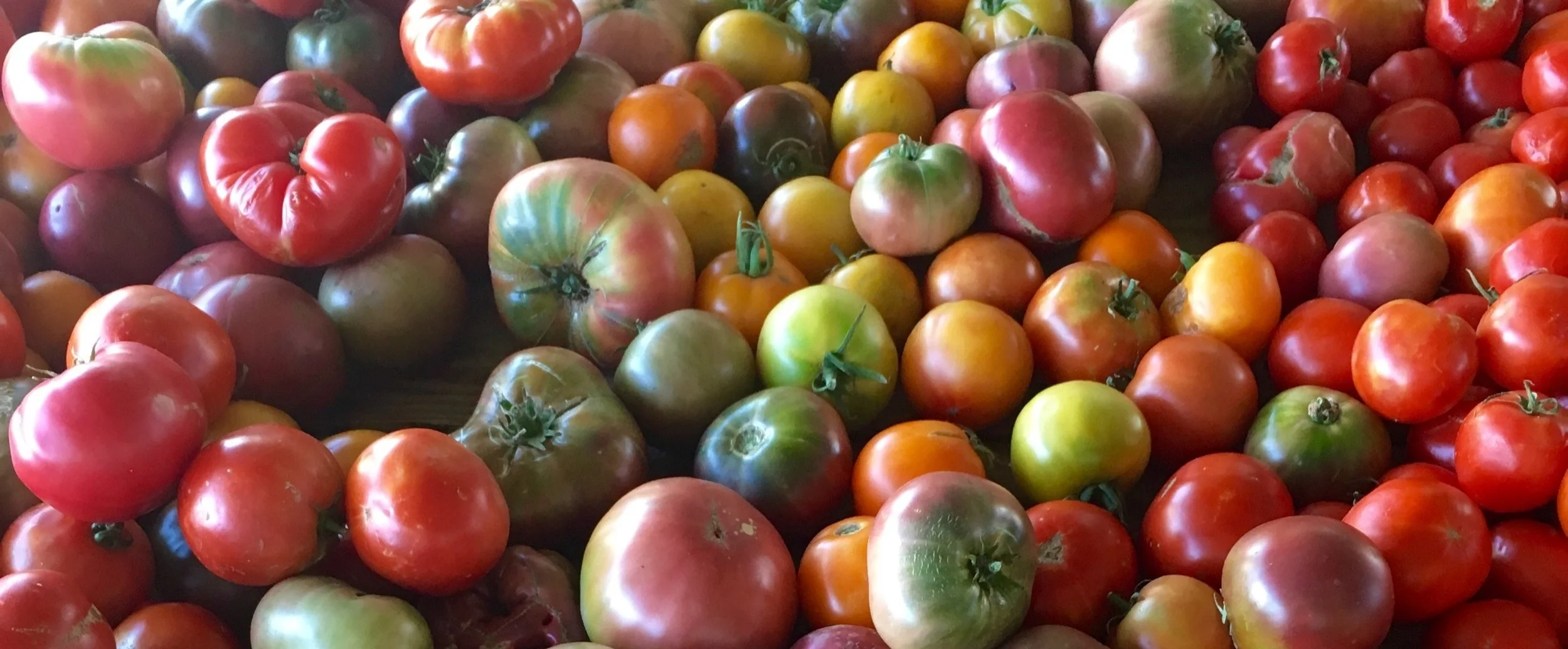 Farmer's Market Toms