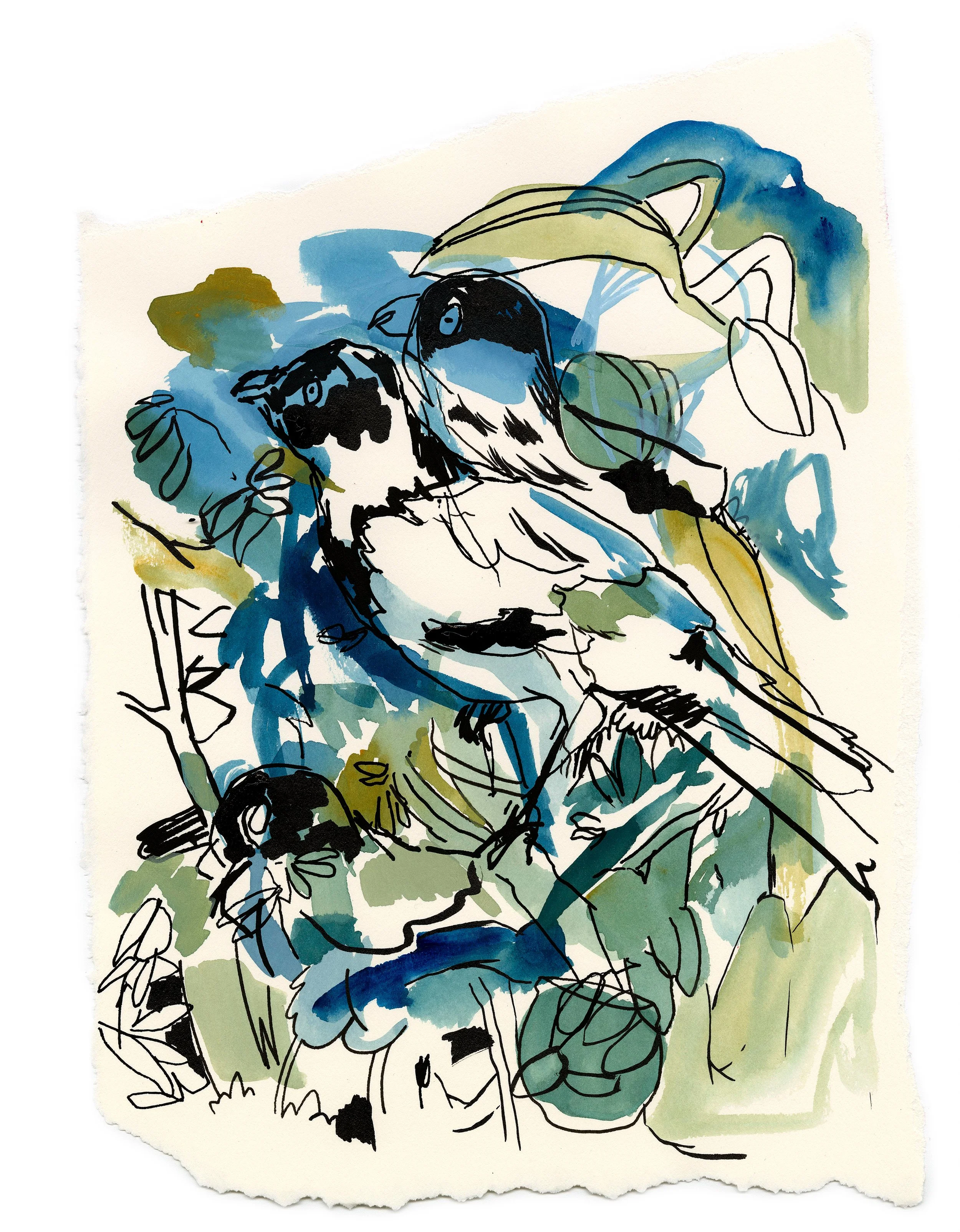 Magpies
 

 Acrylic, ink, and gouache on paper 11” x 13.5” | 27.94 cm x 34.29 cm 2026 
[sold]