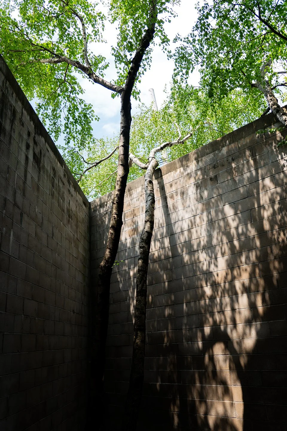 2024_DSC09885_72dpi.jpg