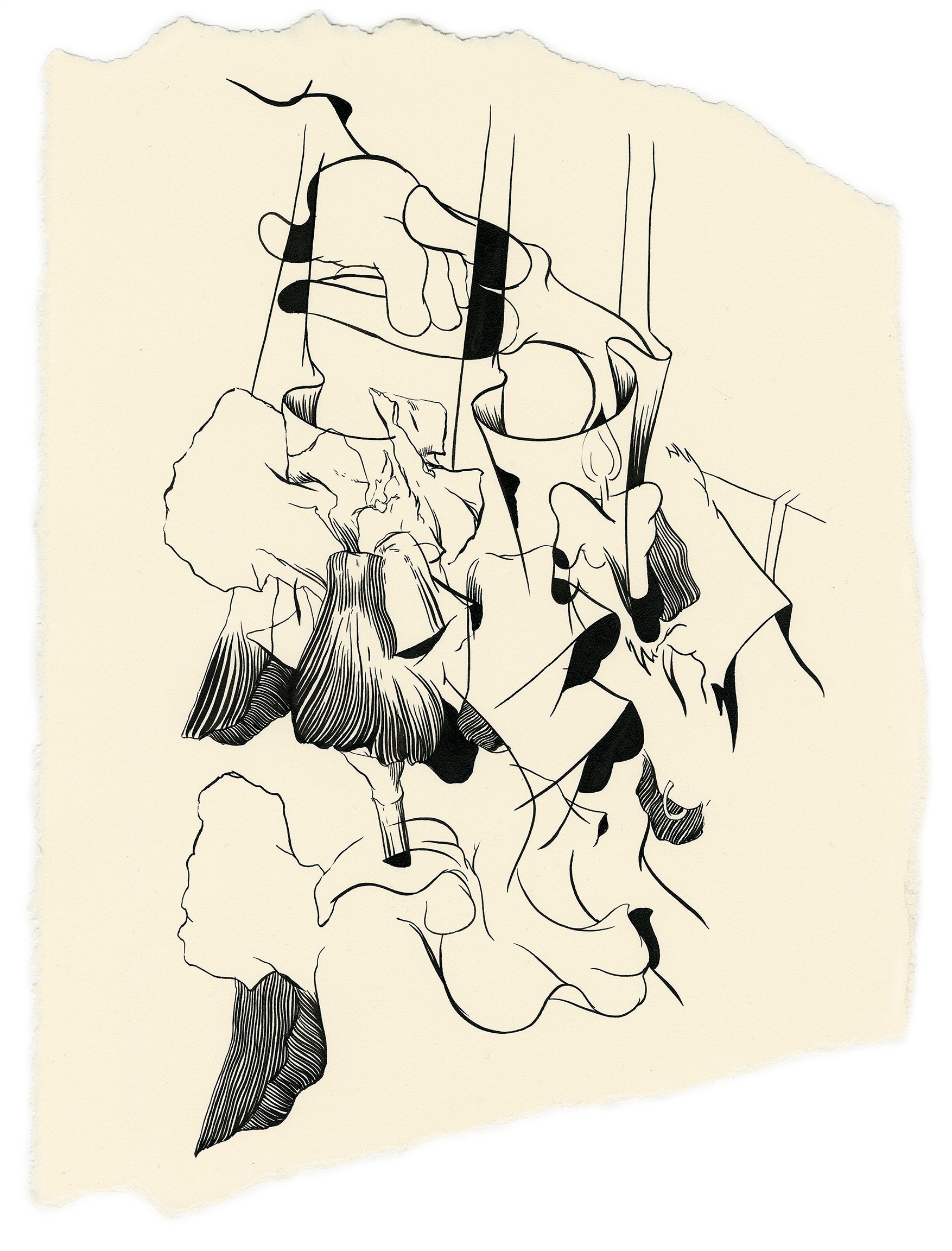 Iris drawin'