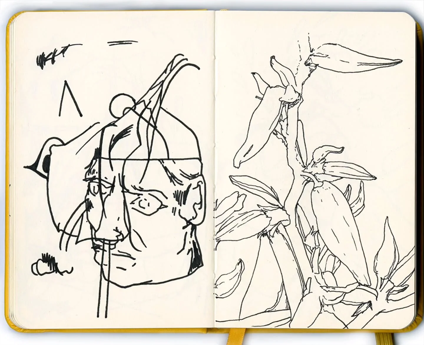 Sketchbook: monolithic heads +plants 🌿

#XavierPetromelis #SketchbookSpread