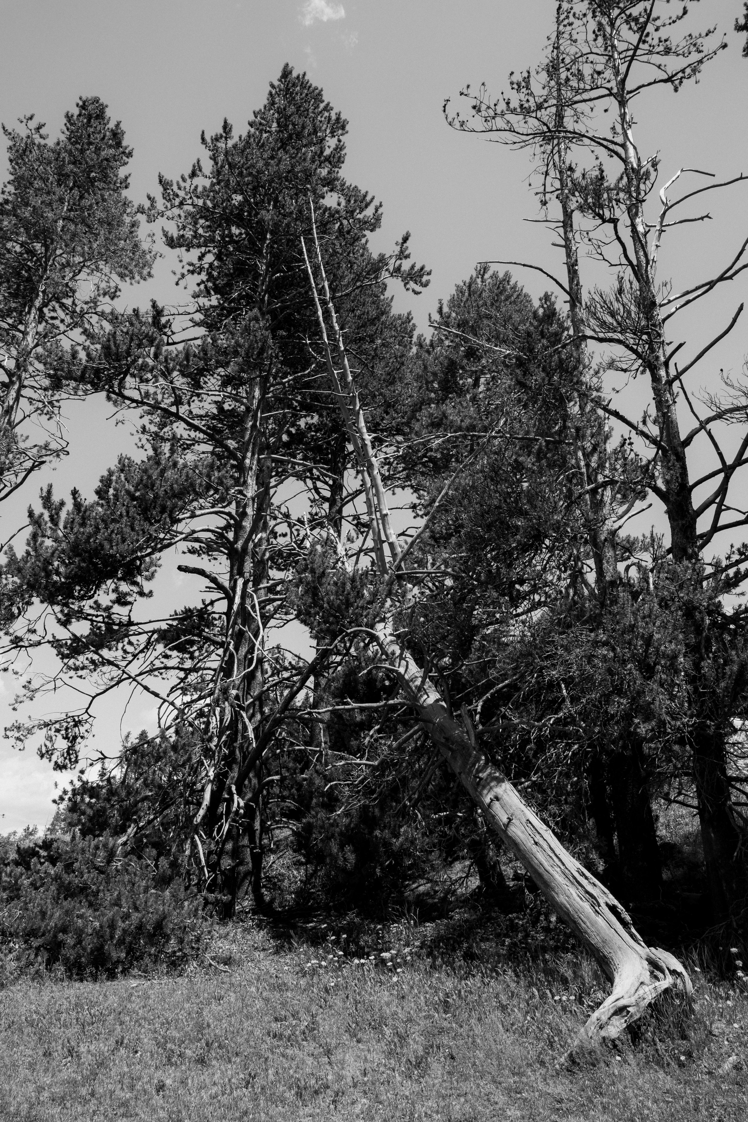 20260622_DSC05718_XavierPetromelis.jpg