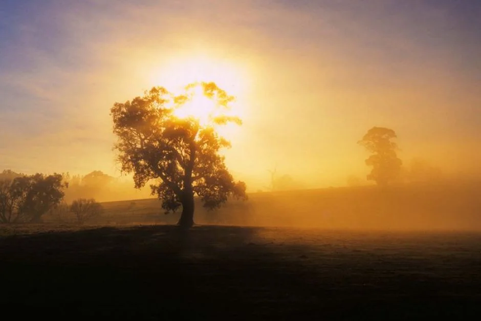 'Early Morning' R&D Sharing | Size Zero Opera