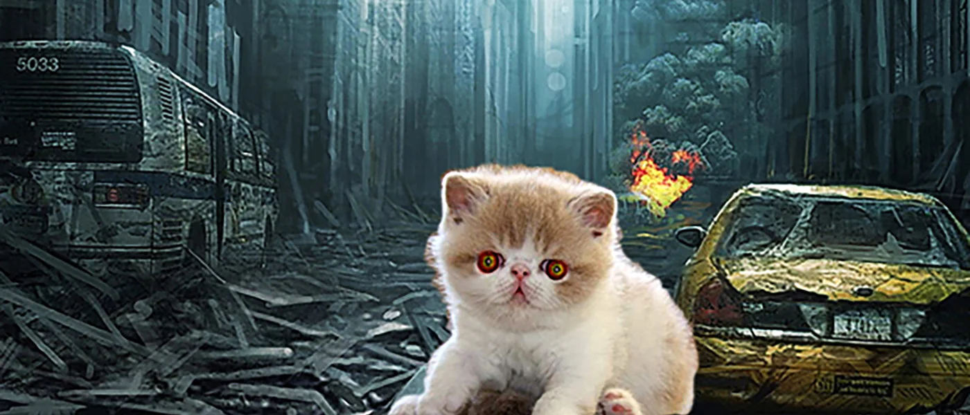 Zombie Kittens; Fact Or Fiction?