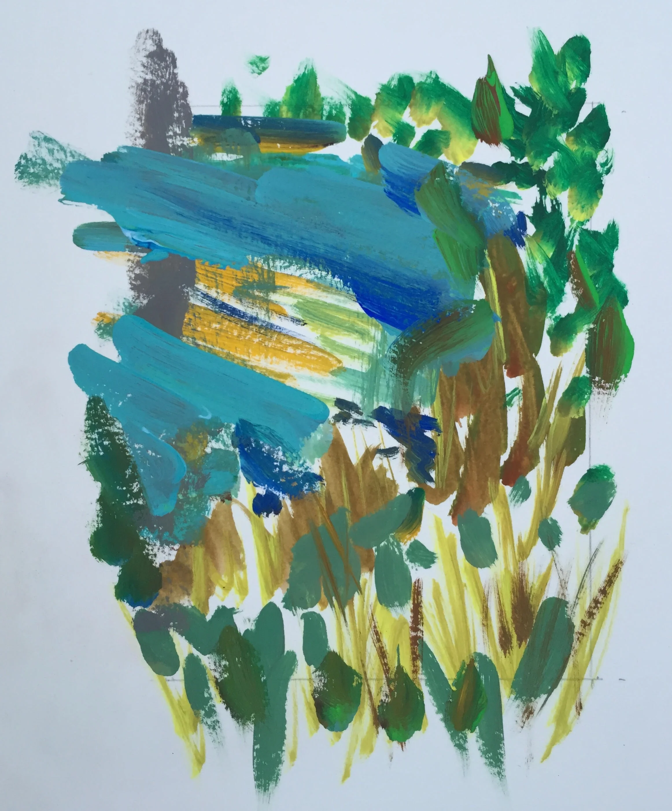 Marsh, Assateague Island National Seashore