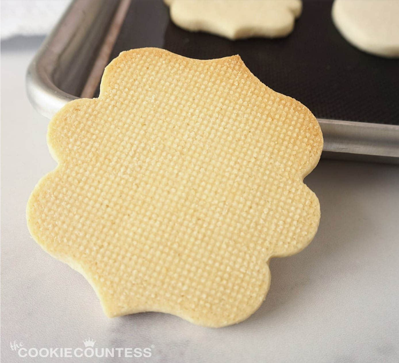 Cookie Magic Mesh Non-Stick Baking Mats (The Cookie Countess
