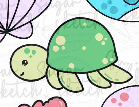 turtle.png