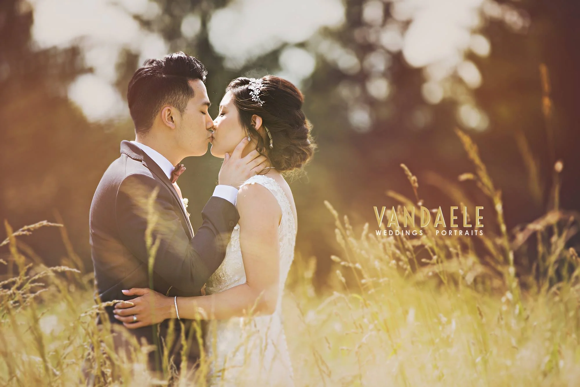 http://vandaeleweddings.com/blog/