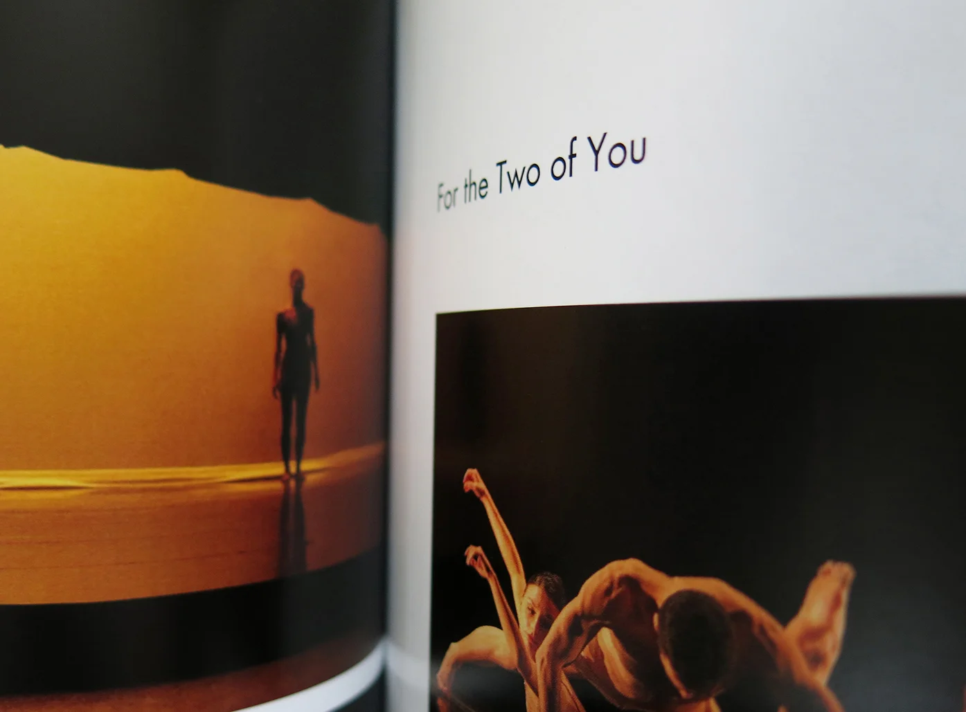 dwdt-book-inside-18.JPG