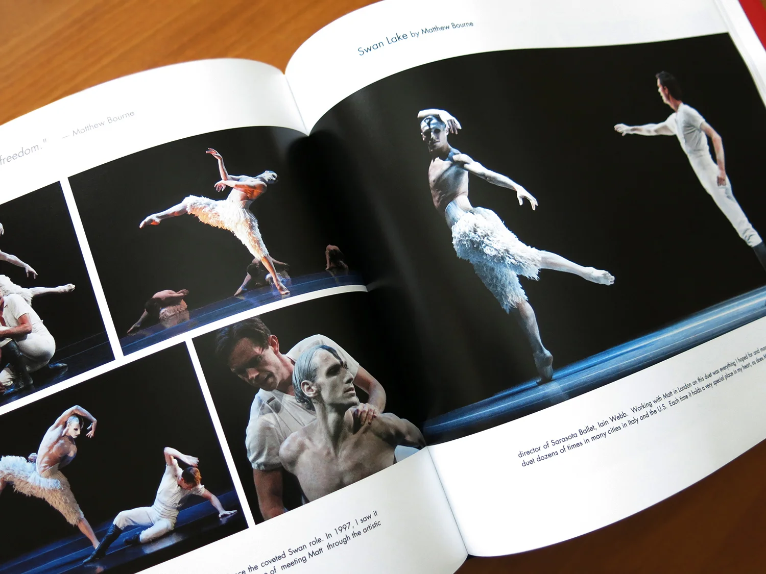 dwdt-book-inside-27.JPG