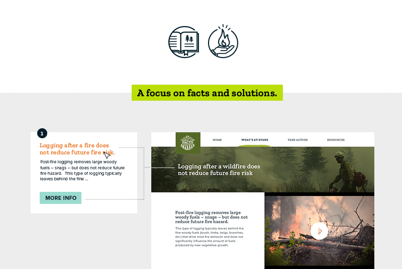 FFF-BRANDArtboard-2-copy.png