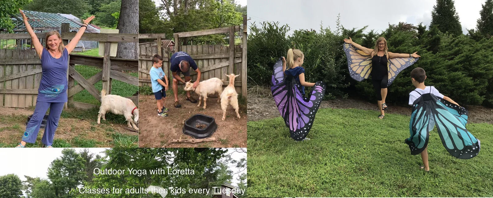 butterflygoat yoga three copy.jpg
