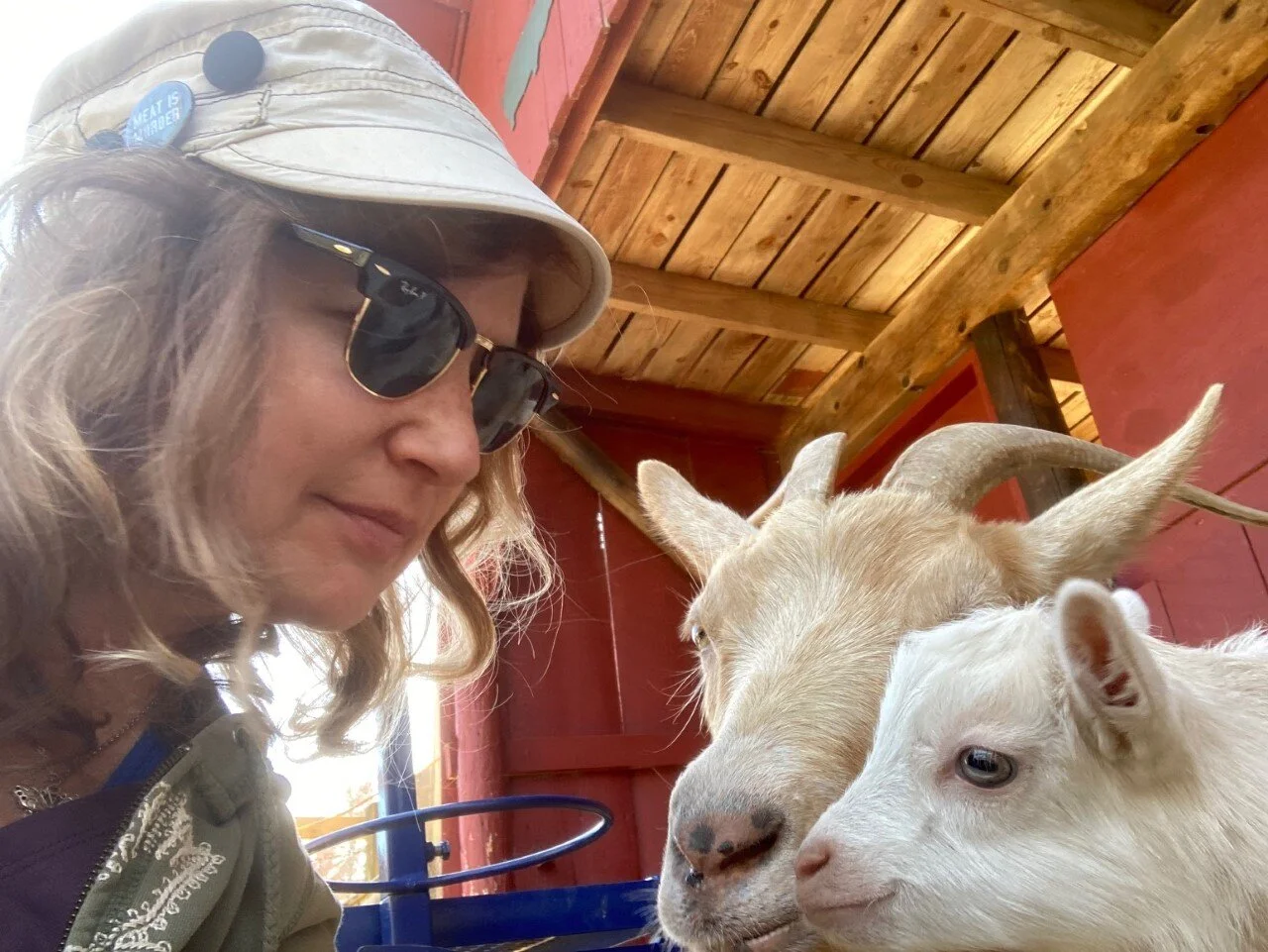 Yoga and Goat Visits