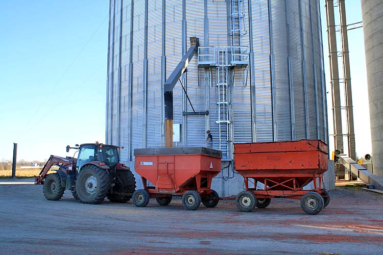Victoria-County-Grains-Shipping.jpg