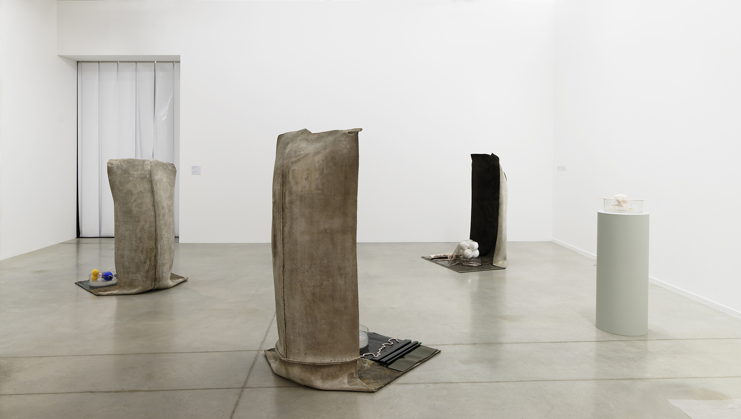 Clockwise from front center: UNIT 2: Thyroid: Growth & Development, 2018 Concrete Canvas, ceramic, mineral oil gel, cotton wick, vinyl, glass, perspex 68 inches tall x 41 inches wide x 42 inches deep UNIT 1: Hypothalamus: Organ of Influence, 2018 Concrete Canvas, ceramic, mineral oil gel, cotton wick, vinyl, glass, perspex 57 inches tall x 41 inches wide x 41 inches deep UNIT 3: Homunculus: Matter Against Memory , 2018 Concrete Canvas, ceramic, mealworm eaten polystyrene, vinyl, glass, perspex 58.5 inches tall x 41.5 inches wide x 41 inches deep Chromosome Absorption , 2018 Ceramic, mineral oil gel, cotton wick, glass, perspex 15.5 inches diameter, 4 inches high, on a 39 inch pedestal